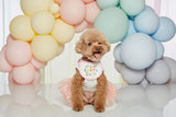 IT'S MY BIRTHDAY BIB / PINK - Miso and Friends - petshop