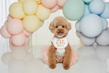 IT'S MY BIRTHDAY BIB / PINK - Miso and Friends - petshop