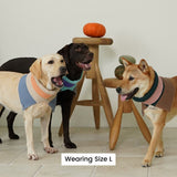 KEEP IT PREPPY NECK WARMER / PINK - Miso and Friends - petshop