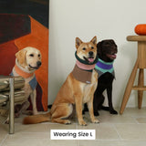 KEEP IT PREPPY NECK WARMER / PINK - Miso and Friends - petshop