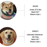 KEEP IT PREPPY NECK WARMER / SALMON - Miso and Friends - petshop