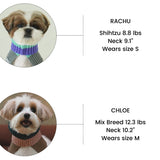 KEEP IT PREPPY NECK WARMER / SALMON - Miso and Friends - petshop