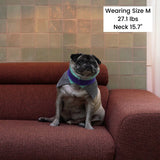 KEEP IT PREPPY NECK WARMER / SALMON - Miso and Friends - petshop