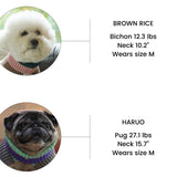 KEEP IT PREPPY NECK WARMER / SALMON - Miso and Friends - petshop