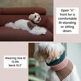 KEEP IT PREPPY NECK WARMER / VIOLET - Miso and Friends - petshop