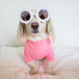 LIGHTWEIGHT TURTLENECK / WATERMELON PINK - Miso and Friends - petshop
