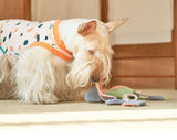 OCTOPUS NOSEWORK TOY / CORAL - Miso and Friends - petshop