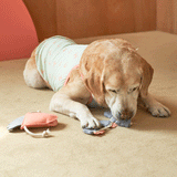 OCTOPUS NOSEWORK TOY / CORAL - Miso and Friends - petshop
