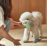 OCTOPUS NOSEWORK TOY / MINT - Miso and Friends - petshop