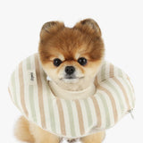 ORGANIC HOME CARE NECK - Miso and Friends - petshop