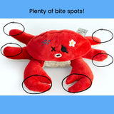PIRATE CRAB NOSEWORK TOY - Miso and Friends - petshop