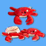 PIRATE CRAB NOSEWORK TOY - Miso and Friends - petshop