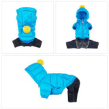 POM POM PADDED JUMPER / BLUE - Miso and Friends - petshop