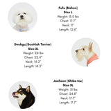 QUICK DRY AFTER SHOWER GOWN / TANGERINE - Miso and Friends - petshop