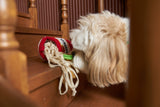 RAMEN NOSEWORK DOG TOY - Miso and Friends - petshop