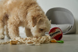 RAMEN NOSEWORK DOG TOY - Miso and Friends - petshop