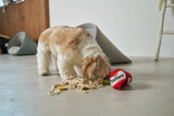 RAMEN NOSEWORK DOG TOY - Miso and Friends - petshop