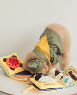 SCOUTS BOOK NOSEWORK TOY - Miso and Friends - petshop