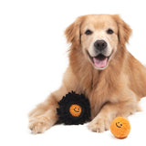 SEA URCHIN CATCH TOY - Miso and Friends - petshop