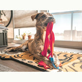 SEMO NOSE WORK TOY - Miso and Friends - petshop