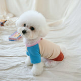 SORBET TEE / BLUEBERRY CHOCOLATE - Miso and Friends - petshop