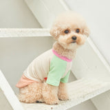 SORBET TEE / MINT PEACH - Miso and Friends - petshop