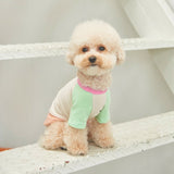 SORBET TEE / MINT PEACH - Miso and Friends - petshop