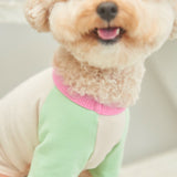 SORBET TEE / MINT PEACH - Miso and Friends - petshop