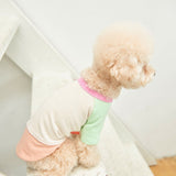 SORBET TEE / MINT PEACH - Miso and Friends - petshop