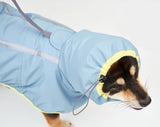 STORM SHELL RAINCOAT / BLUE LEMON - Miso and Friends - petshop