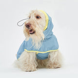 STORM SHELL RAINCOAT / BLUE LEMON - Miso and Friends - petshop