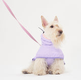 STORM SHELL RAINCOAT / GRAPE - Miso and Friends - petshop