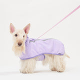 STORM SHELL RAINCOAT / GRAPE - Miso and Friends - petshop