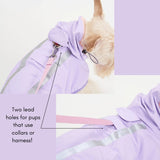 STORM SHELL RAINCOAT / GRAPE - Miso and Friends - petshop