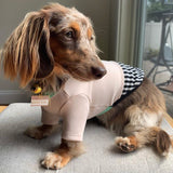 STRIPE SHIRT / MINT BLACK - Miso and Friends - petshop