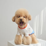 STRIPE SHIRT / ORANGE BLUE - Miso and Friends - petshop
