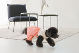 THE PLAYFUL ROMPER / PEACH CORAL - Miso and Friends - petshop