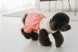 THE PLAYFUL ROMPER / PEACH CORAL - Miso and Friends - petshop