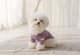 THE SOPHISTICATED STRIPED TEE / BLUE ORANGE - Miso and Friends - petshop