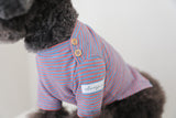 THE SOPHISTICATED STRIPED TEE / BLUE ORANGE - Miso and Friends - petshop