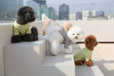 THE SOPHISTICATED STRIPED TEE / WHITE NAVY - Miso and Friends - petshop