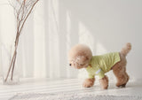 THE SOPHISTICATED STRIPED TEE / YELLOW - Miso and Friends - petshop