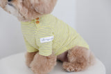 THE SOPHISTICATED STRIPED TEE / YELLOW - Miso and Friends - petshop
