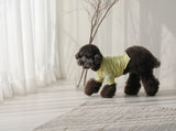 THE SOPHISTICATED STRIPED TEE / YELLOW - Miso and Friends - petshop