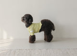 THE SOPHISTICATED STRIPED TEE / YELLOW - Miso and Friends - petshop