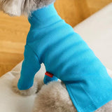 TURTLENECK / SKY BLUE - Miso and Friends - petshop