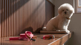 WE ARE TIGHT RIBBON LEASH / FLAMINGO PINK - Miso and Friends - petshop