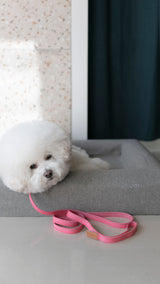 WE ARE TIGHT RIBBON LEASH / FLAMINGO PINK - Miso and Friends - petshop
