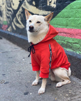 PUPPY ANGEL CITY SPORT HOODIE / RED - Miso and Friends - petshop