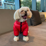 WINTER PUFFER JACKET / RED - Miso and Friends - petshop